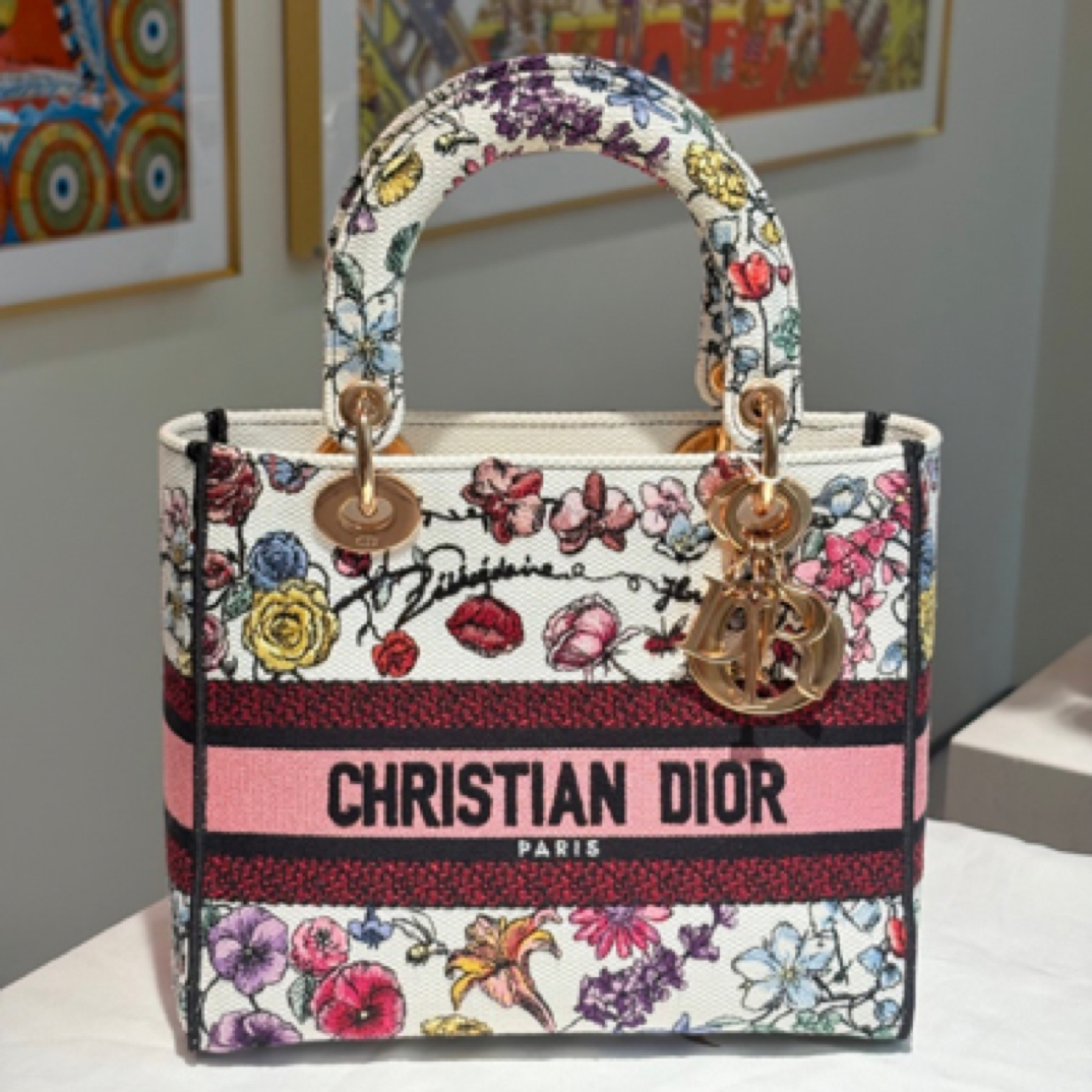99新 DIOR/迪奥 刺绣 戴妃mini/JW1854