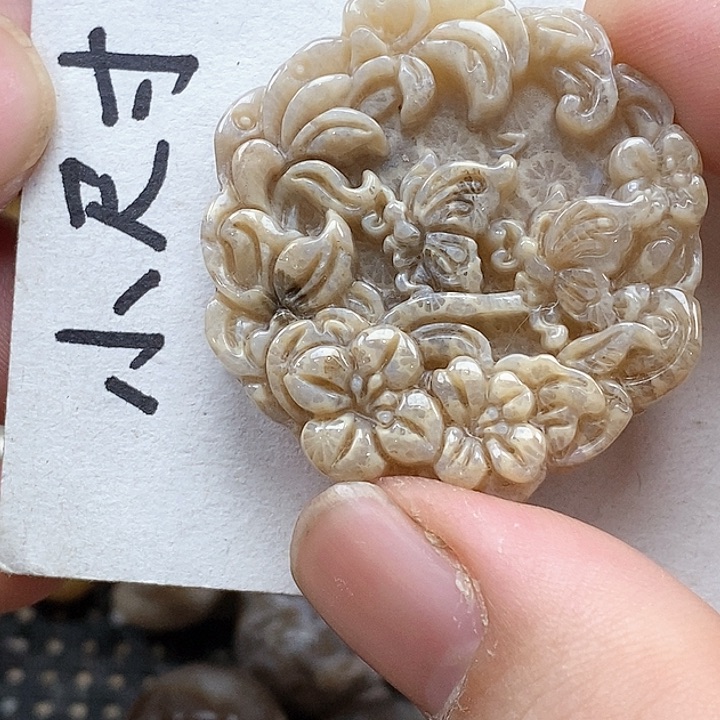 颈饰未镶嵌硅化珊瑚（珊瑚玉）