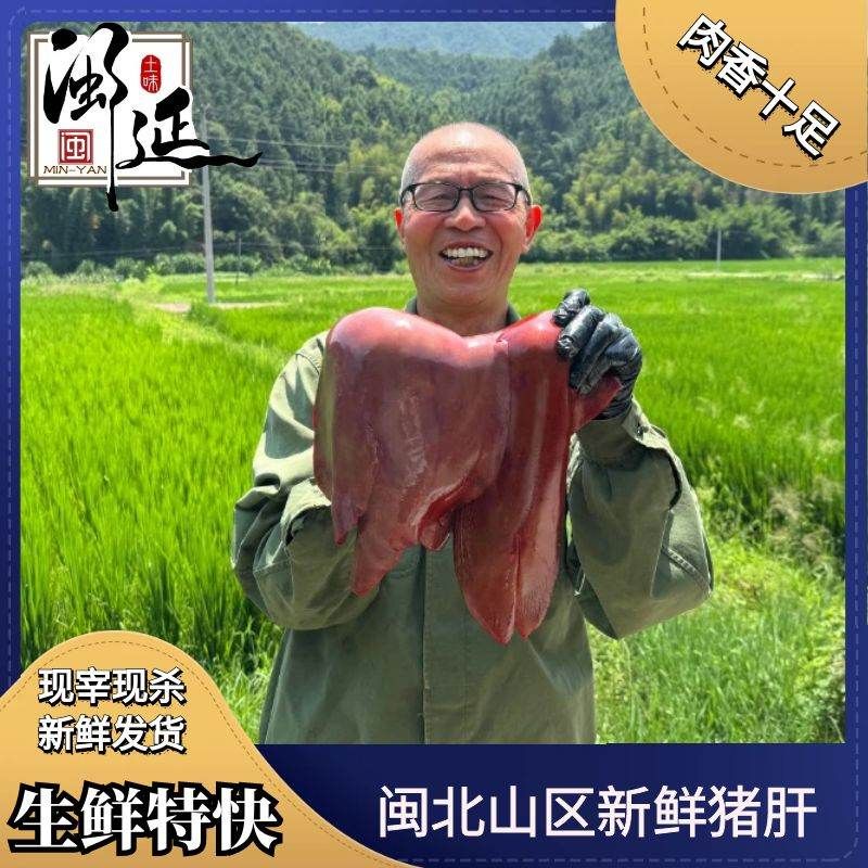 黑猪新鲜猪肝猪内脏生猪肝新鲜猪肝鲜猪肝猪肝生鲜