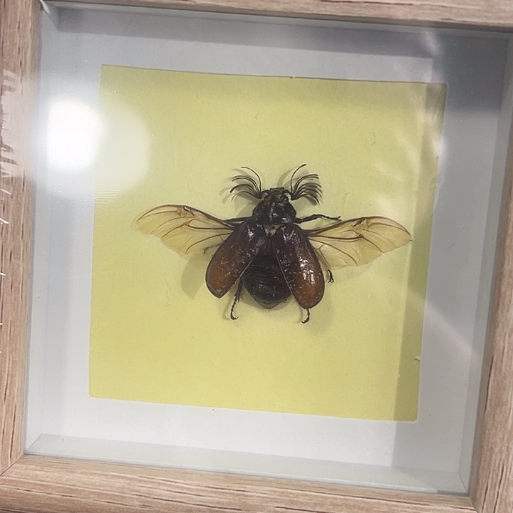 有机玻璃589976654346678888