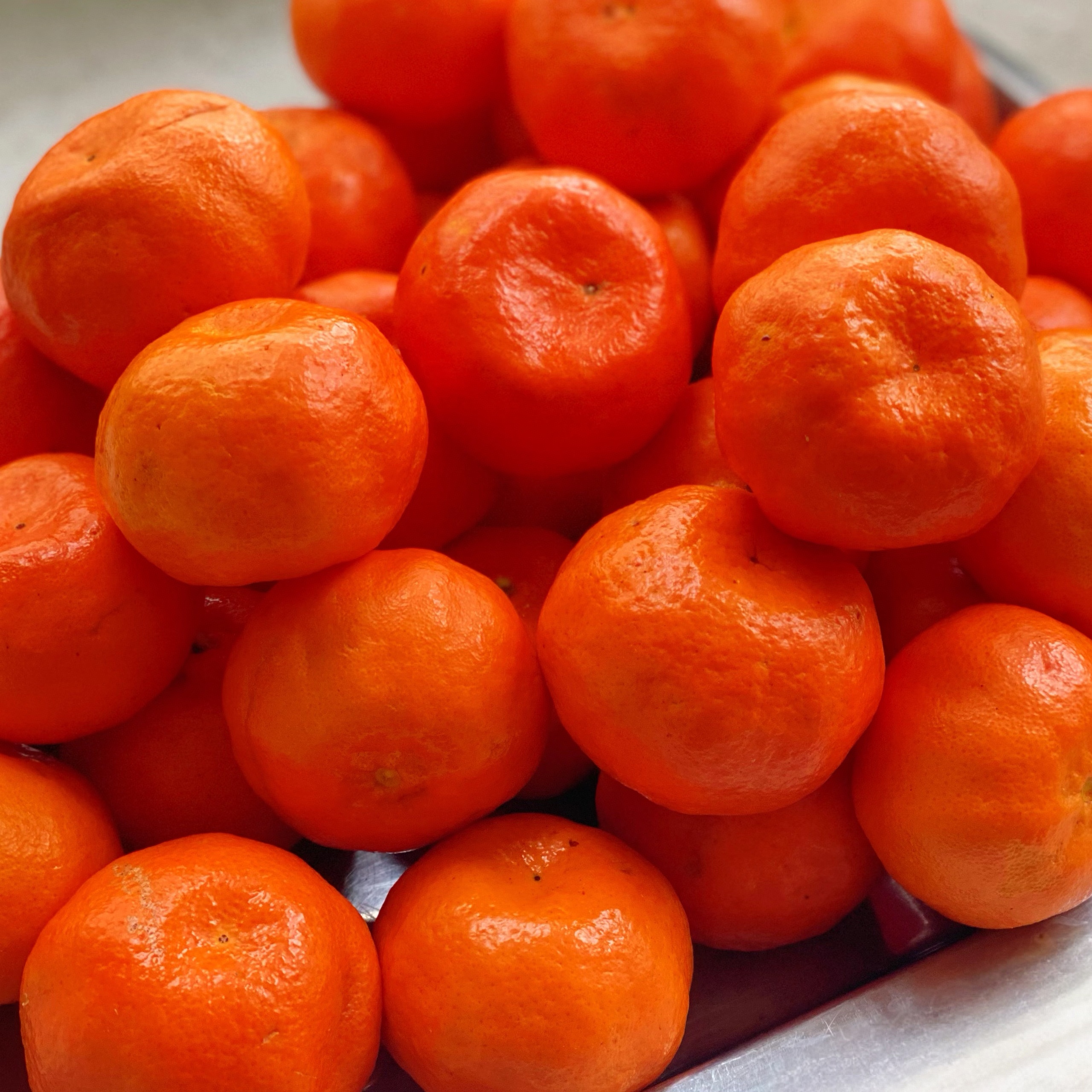 农家乡村种植川渝正宗老树古红橘，陈皮原材料产地 现摘现发