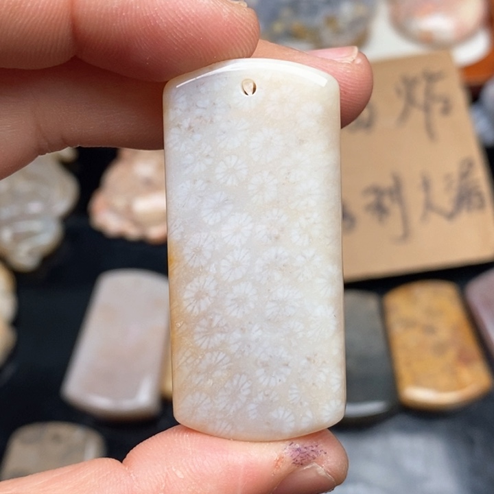 硅化珊瑚（珊瑚玉）颈饰未镶嵌