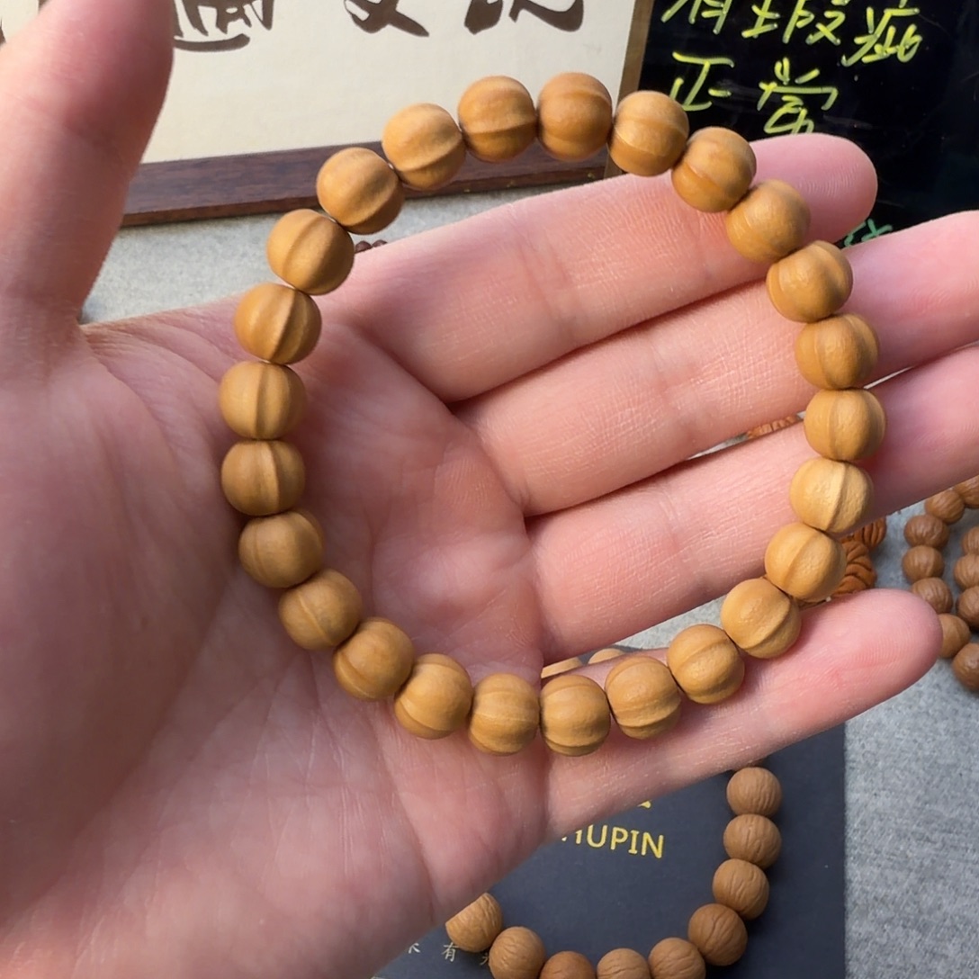 小鲨鱼背全品无药无修