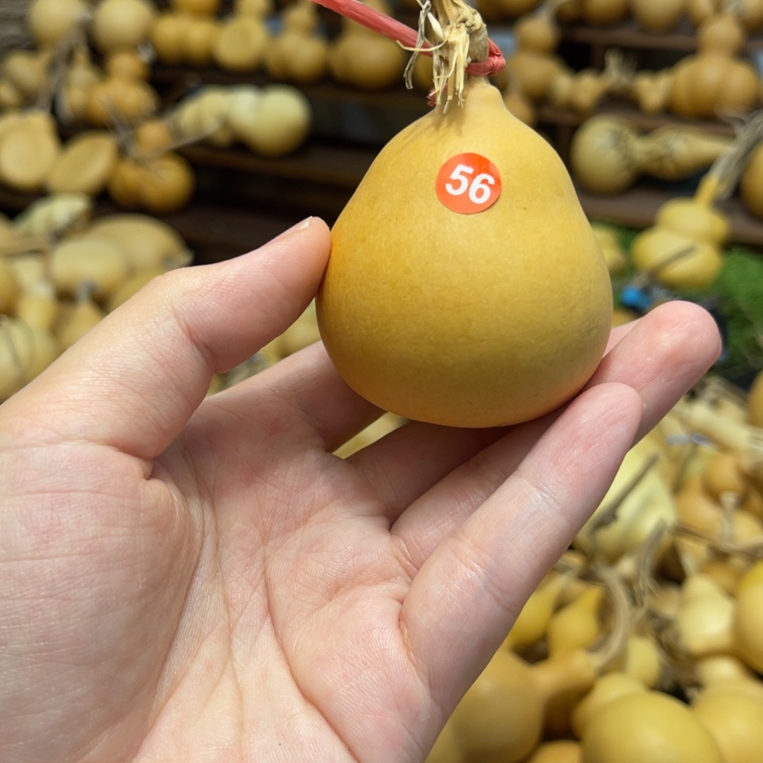 闪拍葫芦链接-56号品