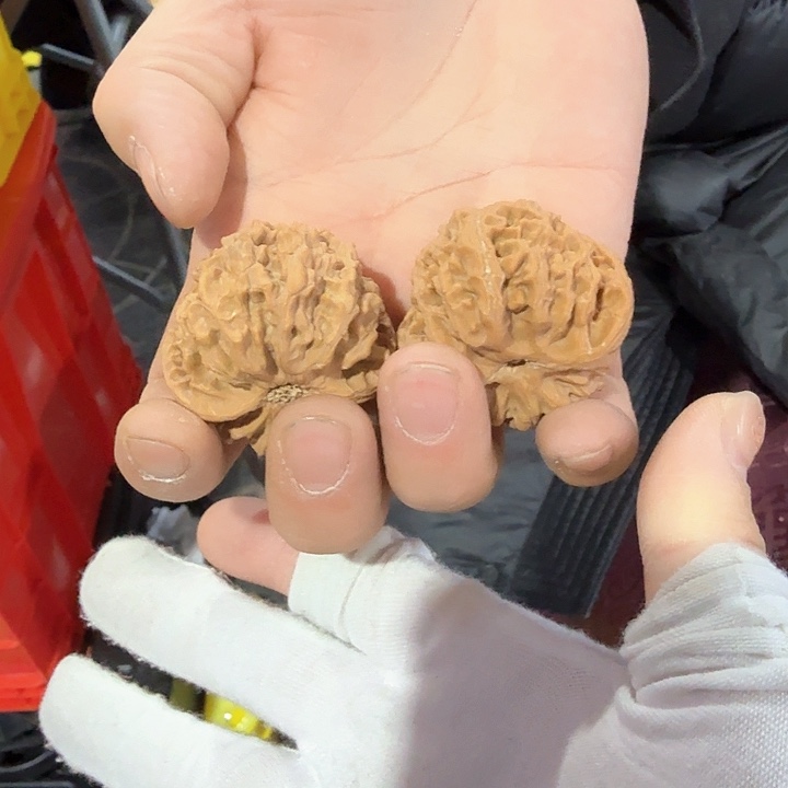 飞**虹核桃苹果园一对