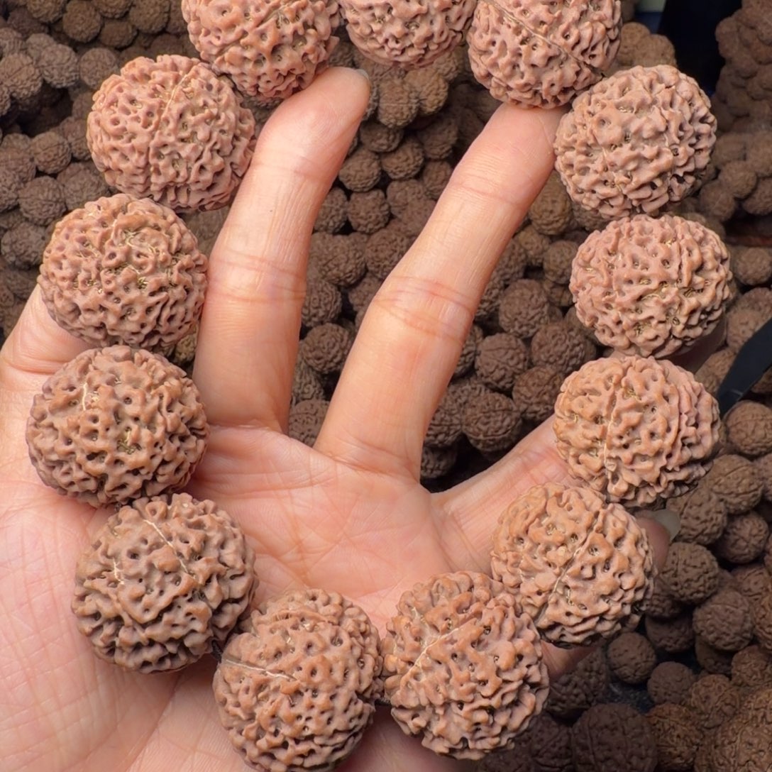 金刚菩提手串8瓣卡26尺，28号