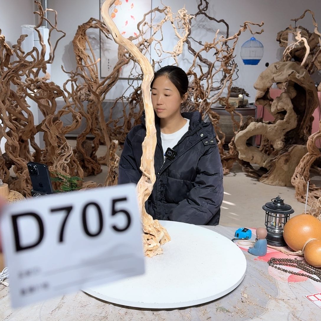 风车木（黑檀木）鳞*