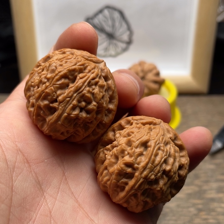 核桃白狮子文玩核桃