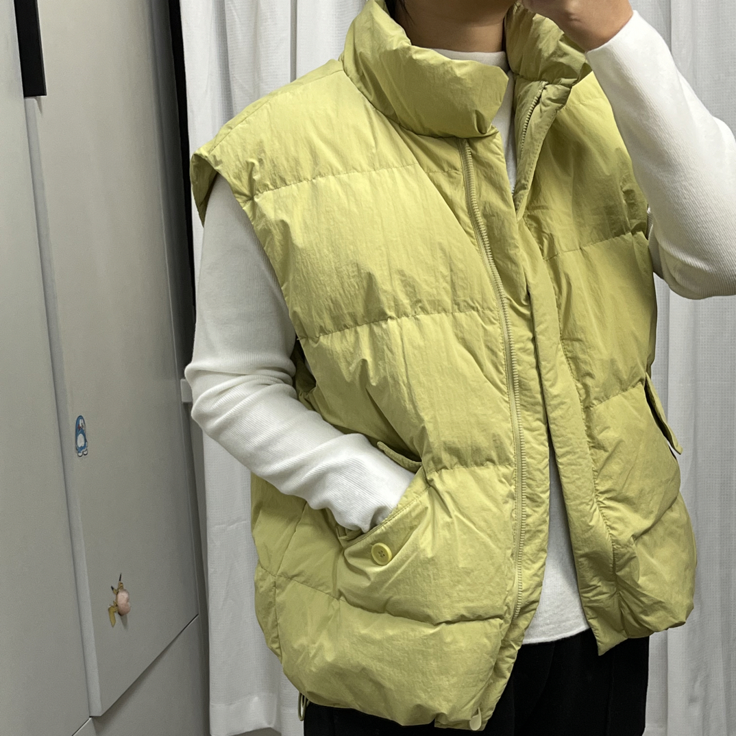 女士白鸭绒马甲立领韩版短款网红时尚百搭