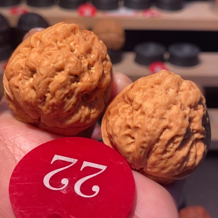 A***冚木质类七彩八宝蟾38尺寸，下播福利