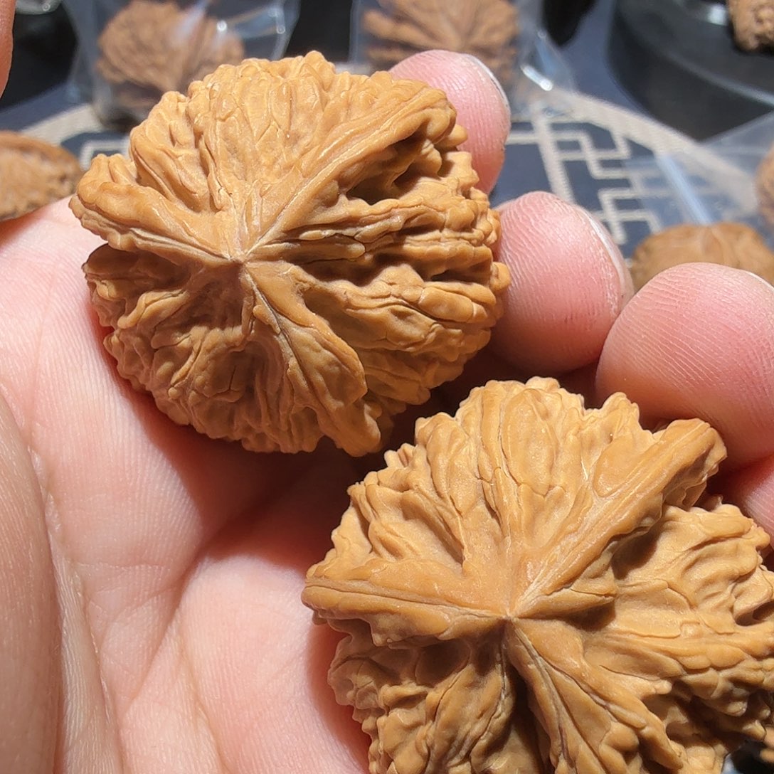 文玩核桃把件⫍****御龙三棱