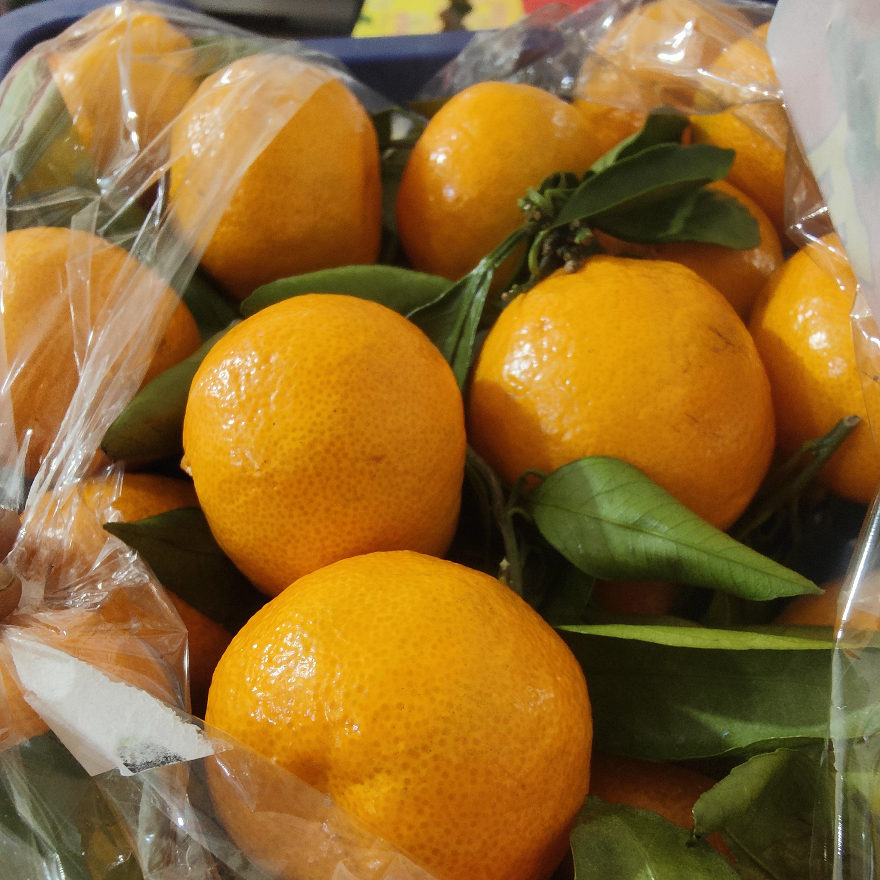 叶桔一件约5.8斤左右广西壮族自治区