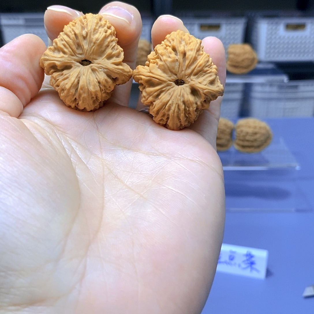 文玩核桃吊坠小精对高炮