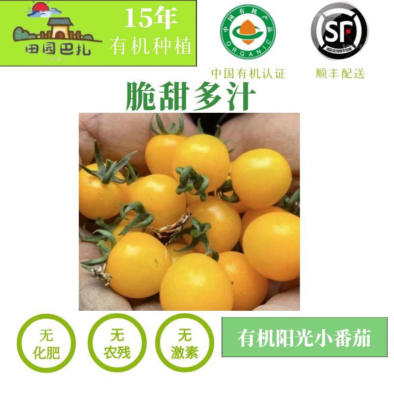 田园巴扎有机脆甜阳光小番茄