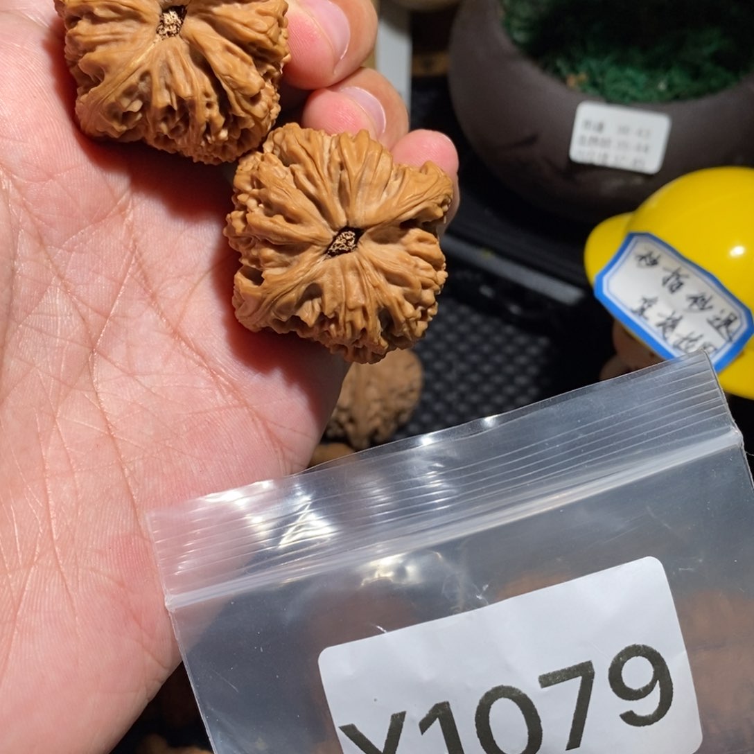 文玩核桃把件修**次南疆