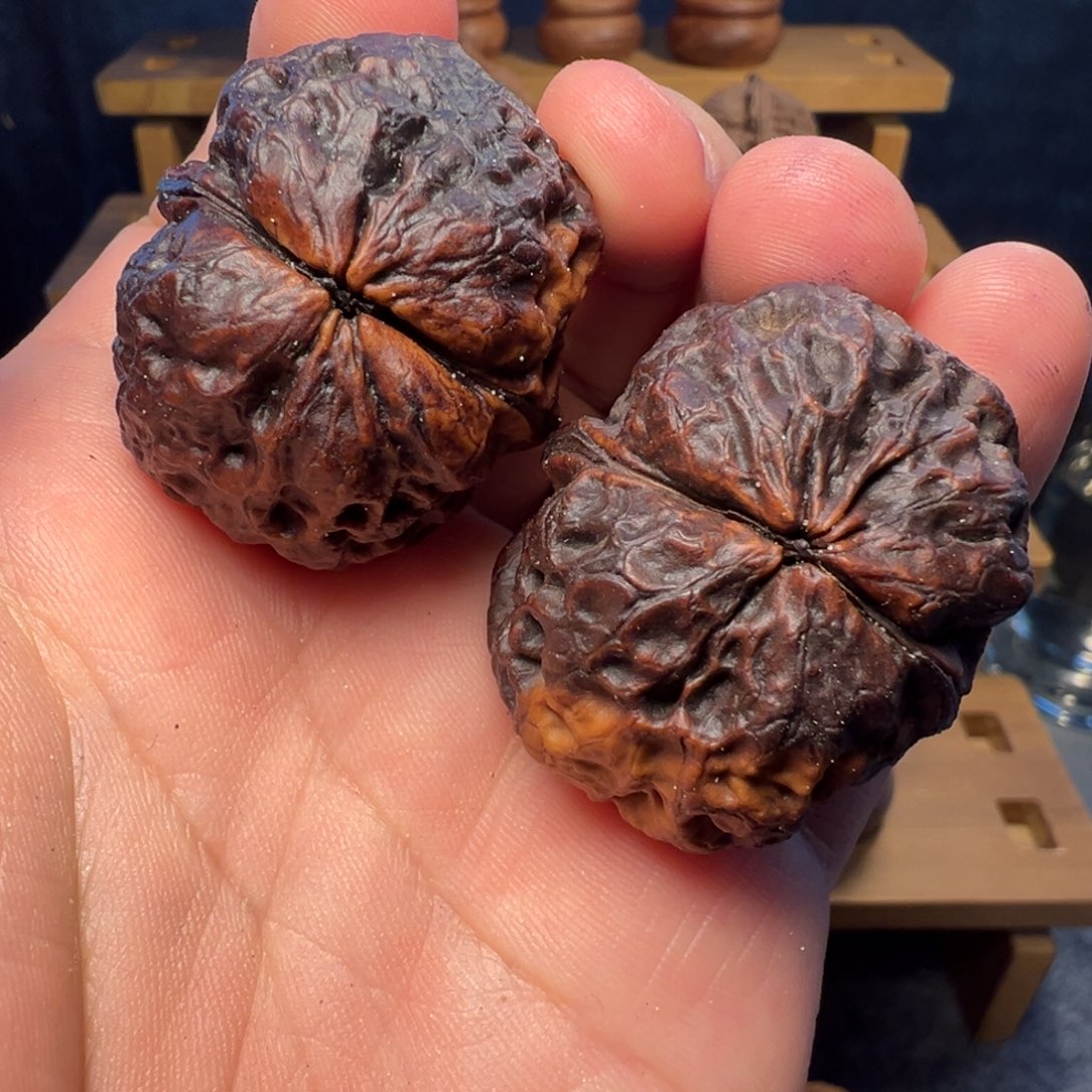 文玩核桃吊坠火凤凰38mm