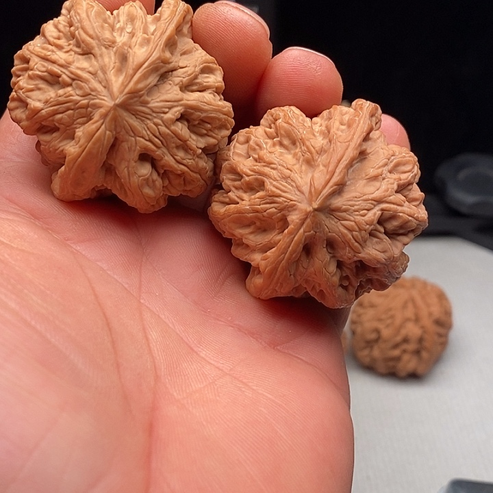 把件文玩核桃46尺大粗筋