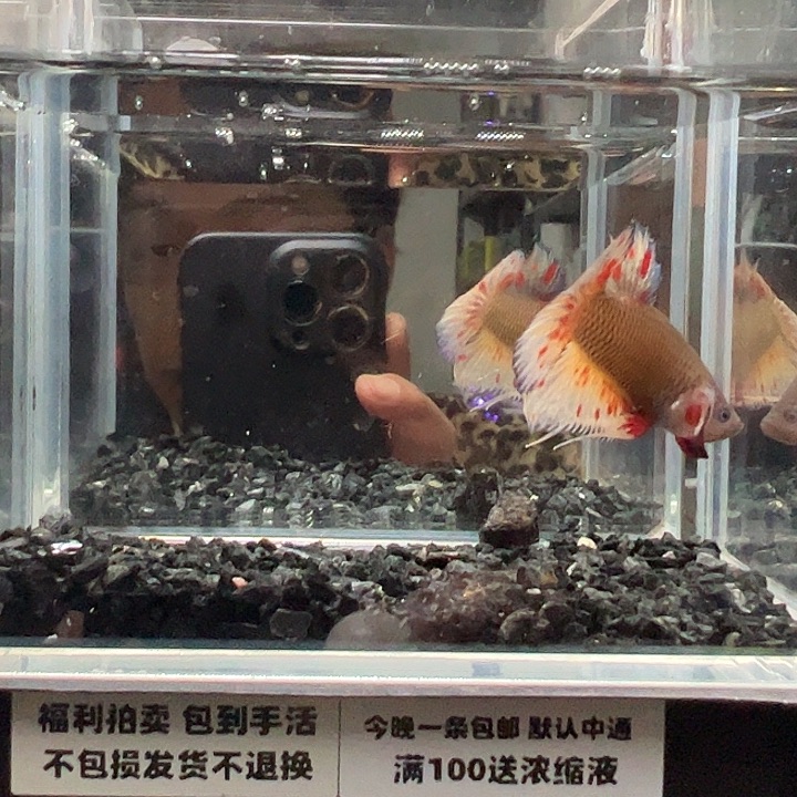 斗鱼跑单拉黑4日94