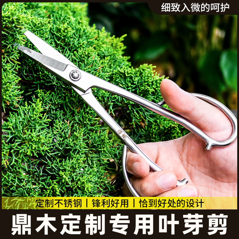 鼎木叶芽剪盆景专用修剪造型工具盆景芽剪剪刀兰花分苗剪小枝芽剪