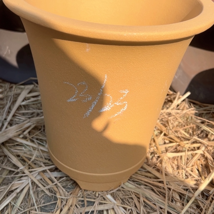 红陶紫砂兰花盆wei x