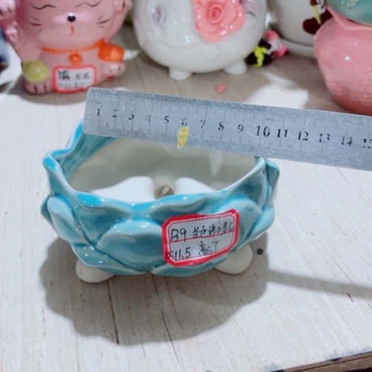 红陶11111111111111111