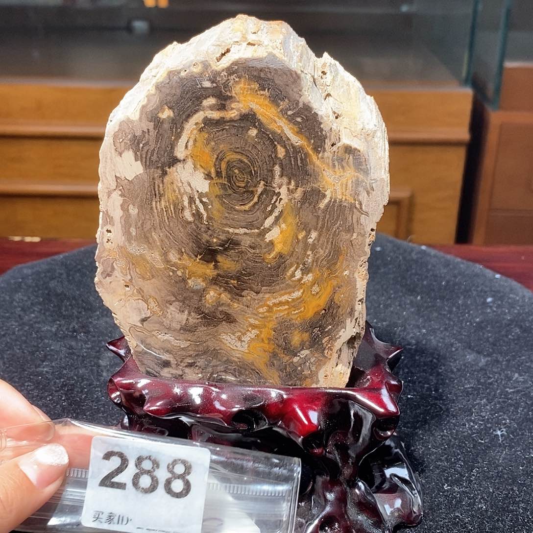 硅化玉天然北票硅化玉原石未镶嵌天然北票硅化玉原石