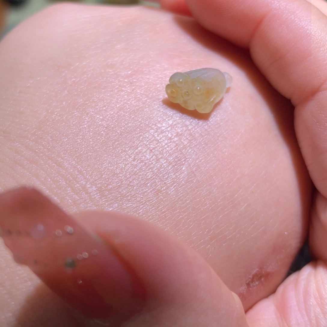 翡翠颈饰未镶嵌莲蓬