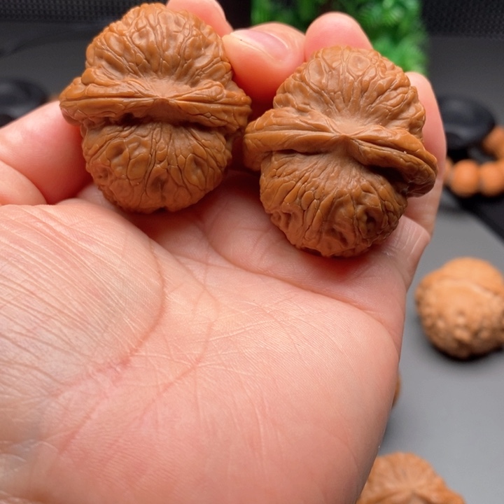 文玩核桃把件G****Z元宝