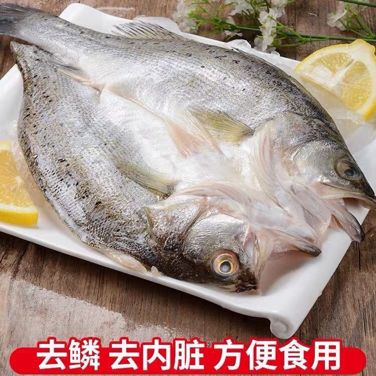 新鲜速冻开背鲈鱼  300-400g  到手5条 顺丰冷链发货
