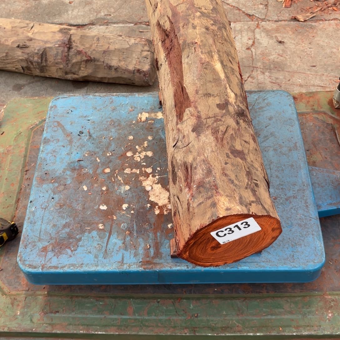 老***学紫砂一物一拍血檀编码313