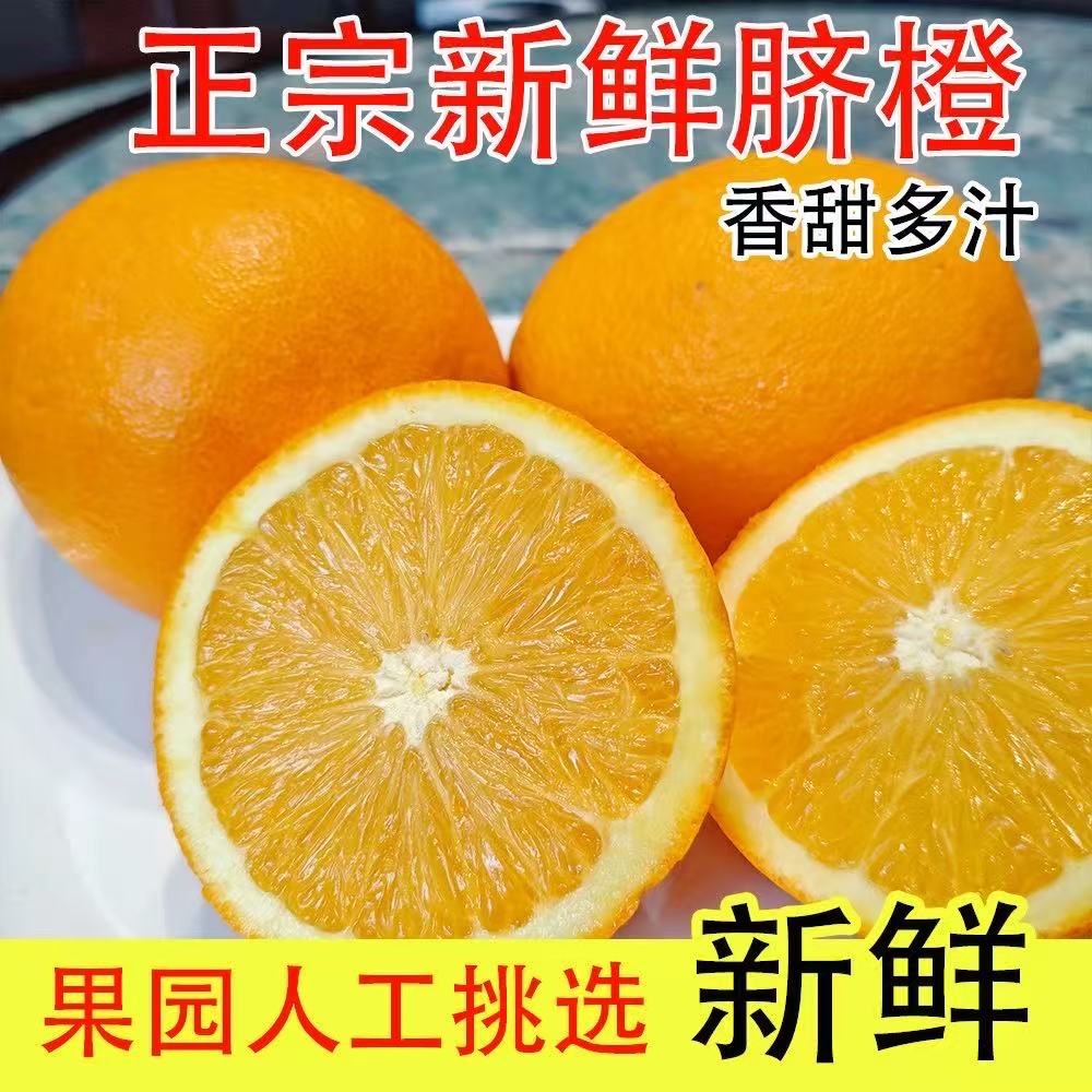 【达人专属】正宗脐橙新鲜现摘多汁香甜不上火应季水果