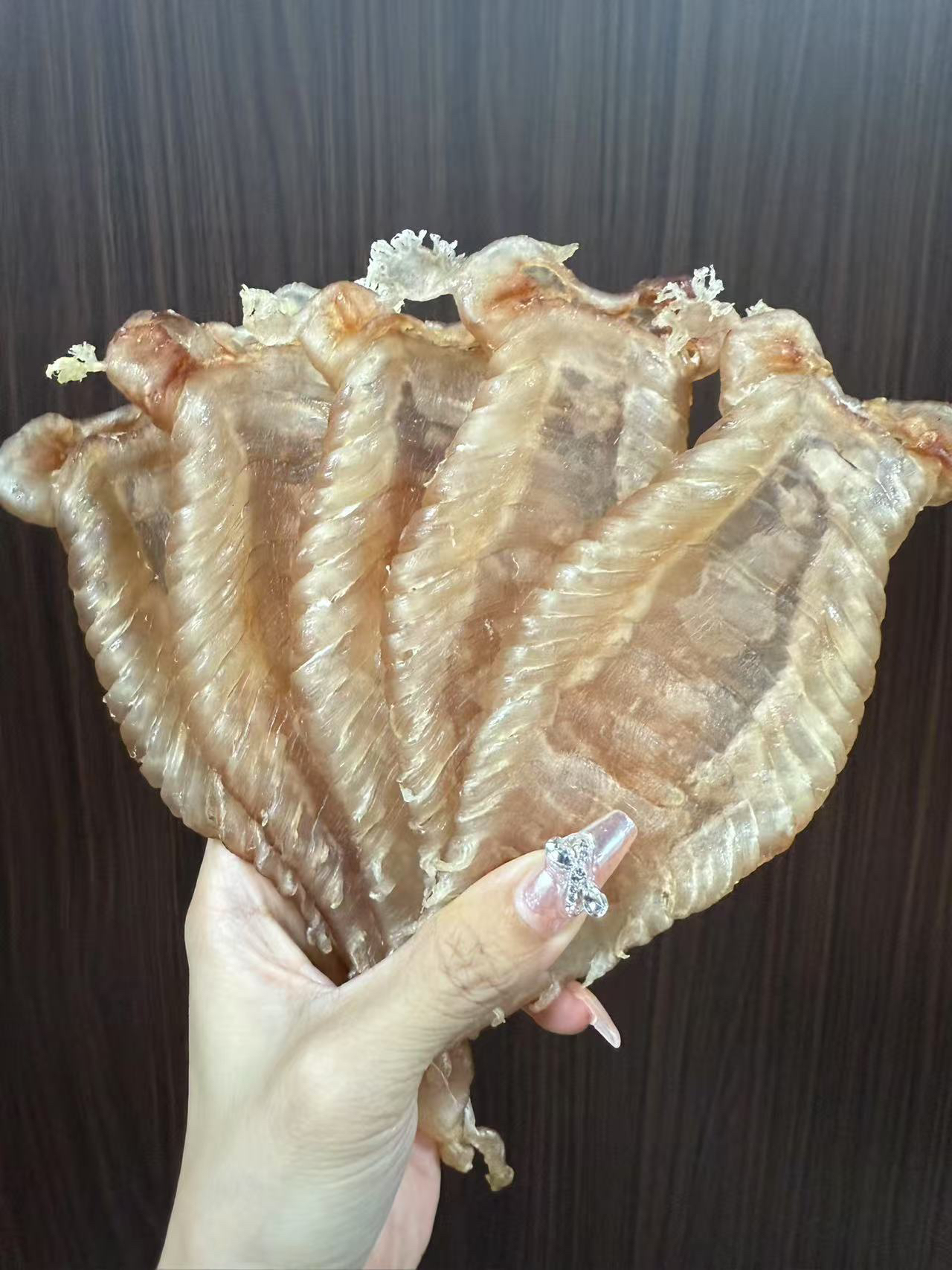 【小吖家】南澳鱼胶10——500克(dai拍链接)