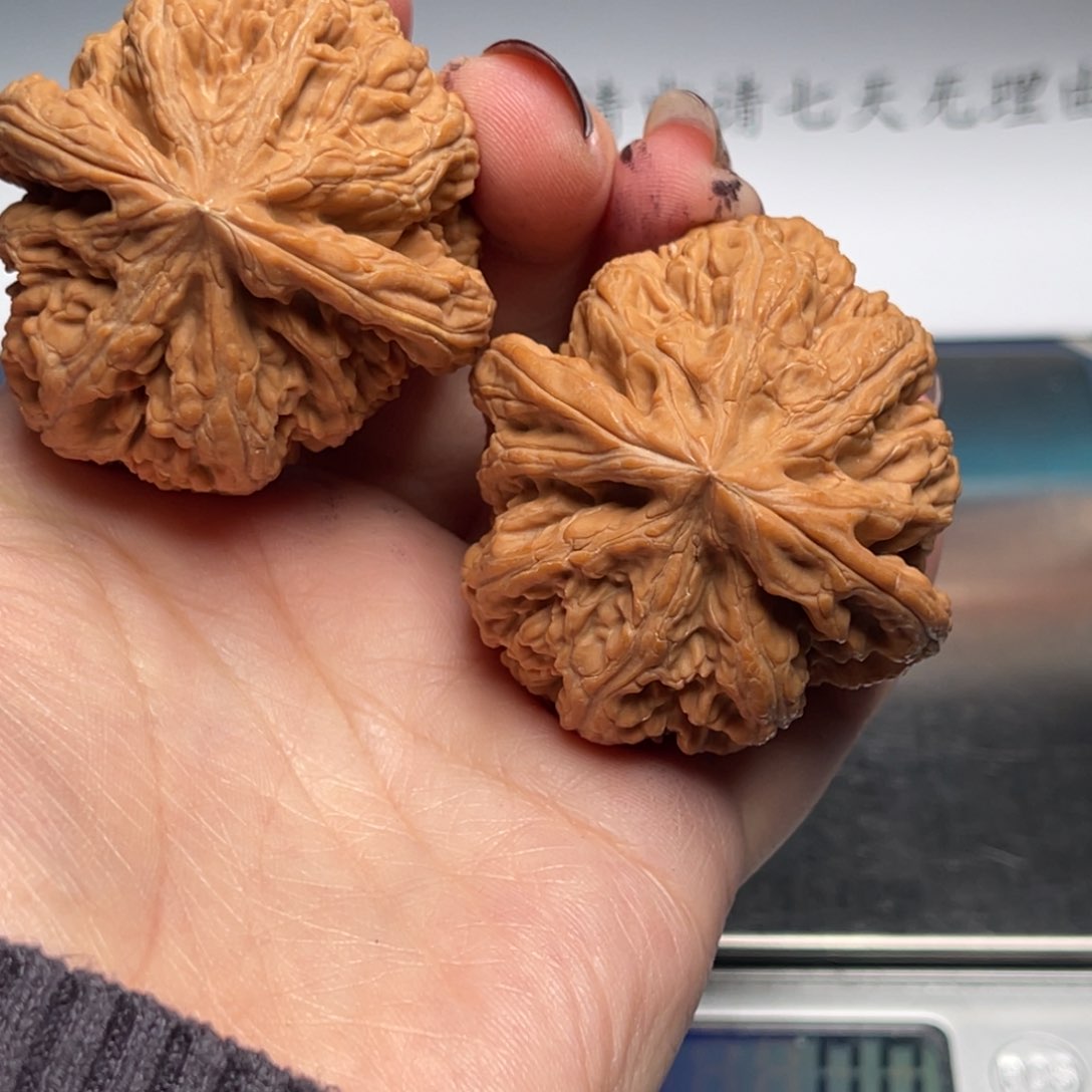 文玩核桃把件粗筋46