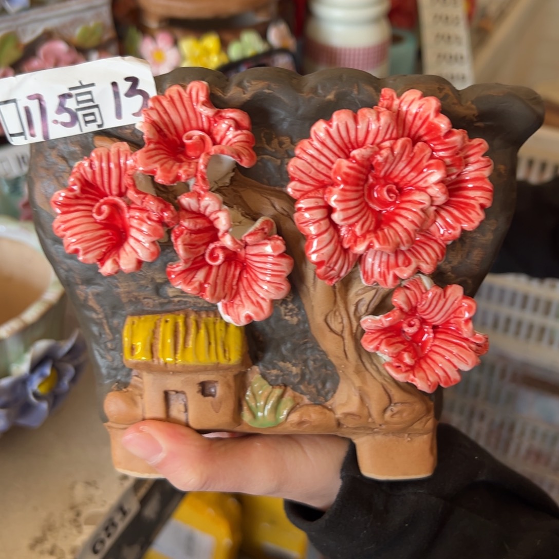 花盆，拍满20发货，退款拉黑