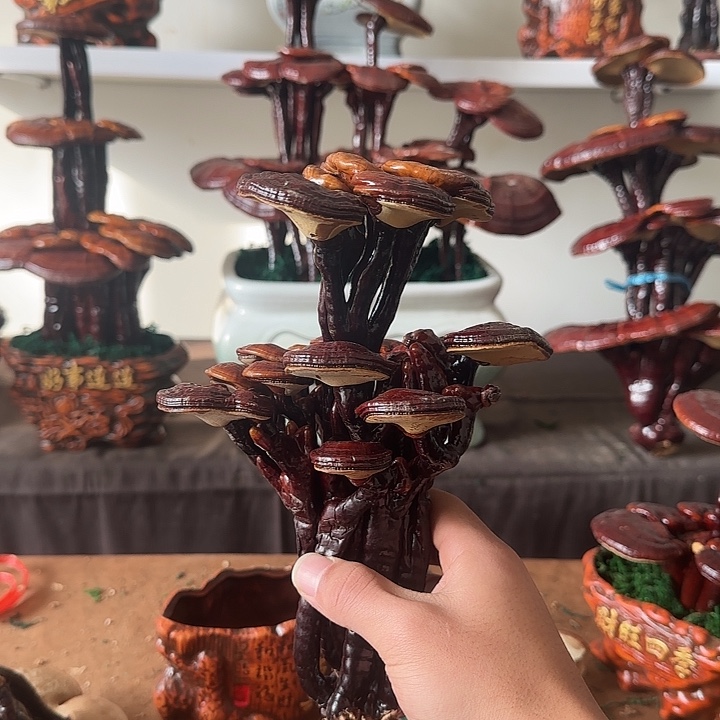 鼎***炖无花朵88888888888