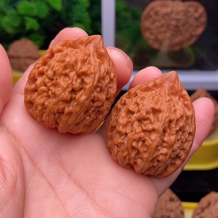 吊坠文玩核桃蚂蚁王34全品