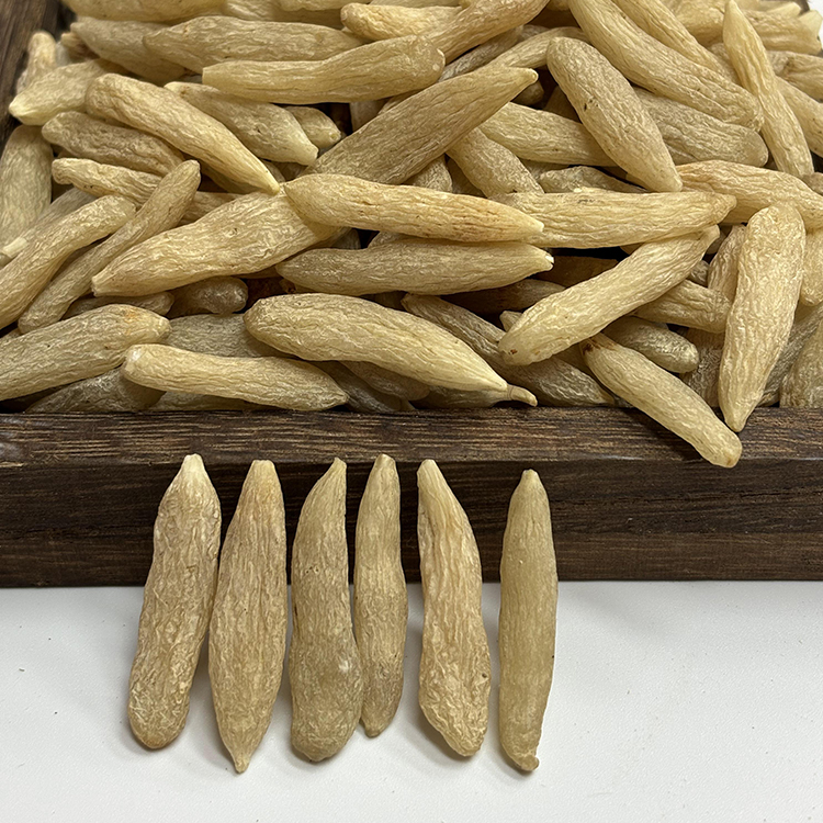 四川麦冬 饱满 煲汤煮水