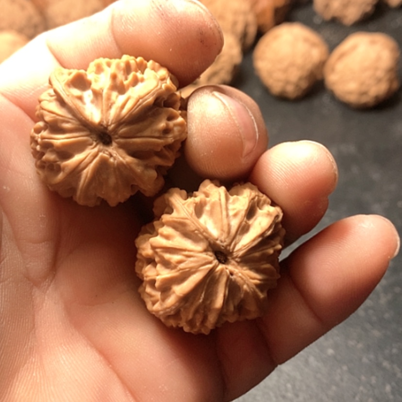 【闪购商品】姜**九龙眼