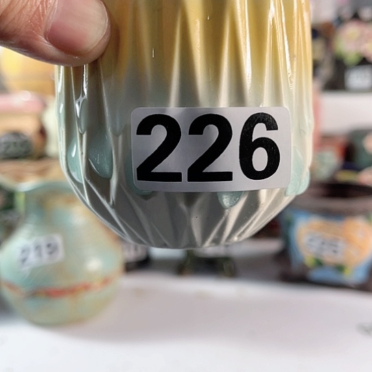 红陶多肉植物花盆