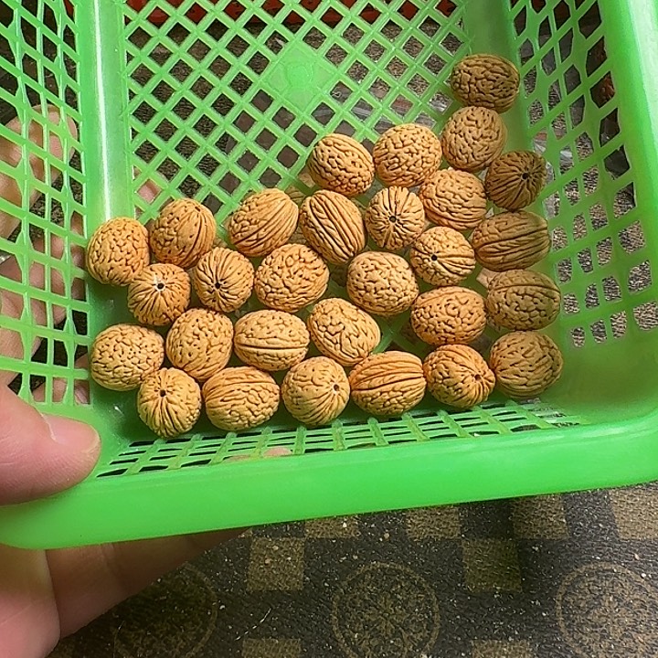 *****吊坠桃核6666666666