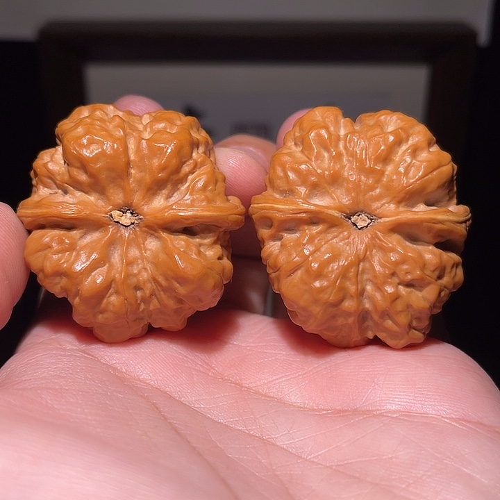 5***.核桃手串/手链蛤蟆头  