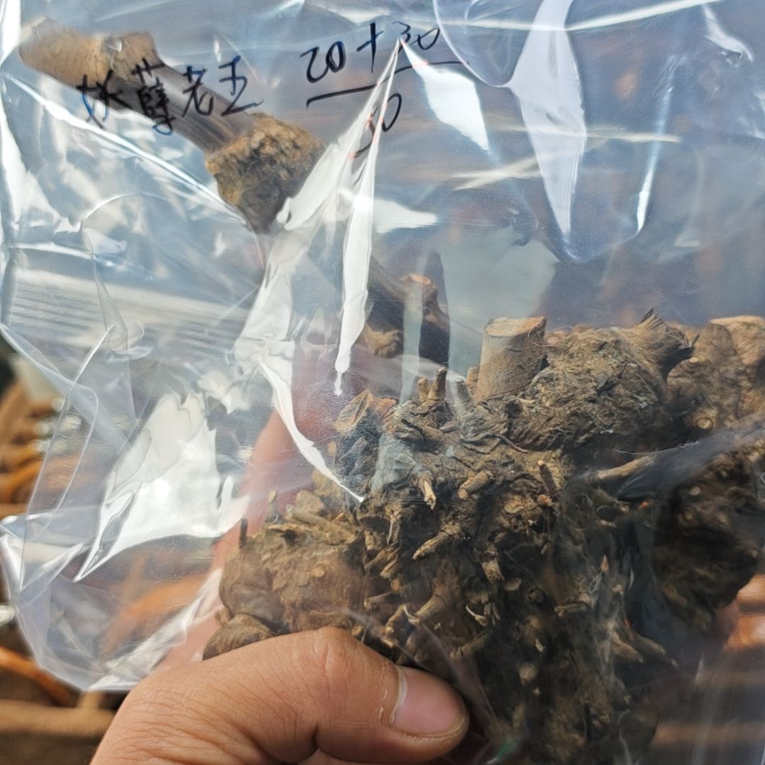 藤类金刚藤藤根手把件。