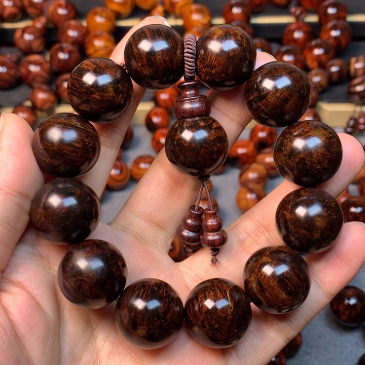 黄花梨/降香黄檀海南