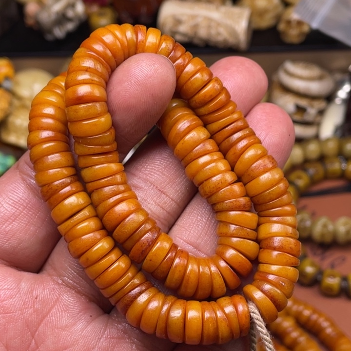 驼骨其他人工养殖