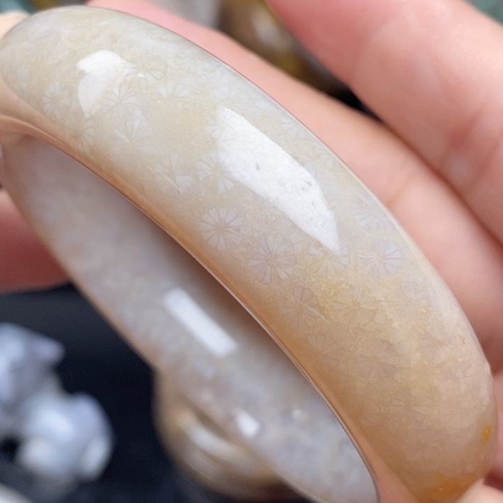 未镶嵌手镯（圆镯）硅化玉58