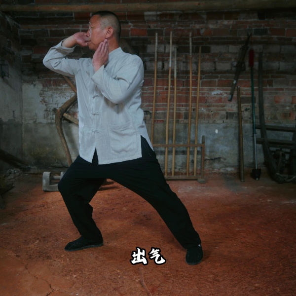 巫家拳内功健身操线上视频课（留意短信解锁课程了lh