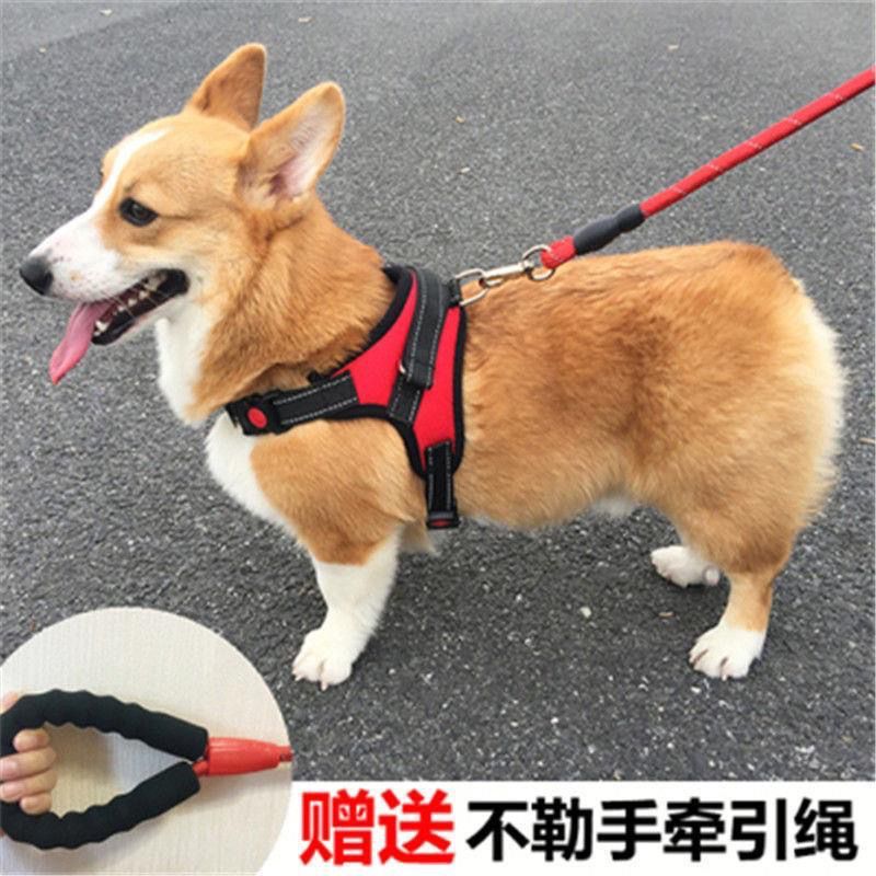 狗狗牵引绳背心式胸背带中型大型犬遛狗金毛拉布拉多泰迪狗链狗绳