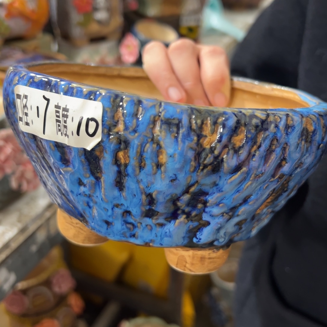 满20米秒退拉黑花盆