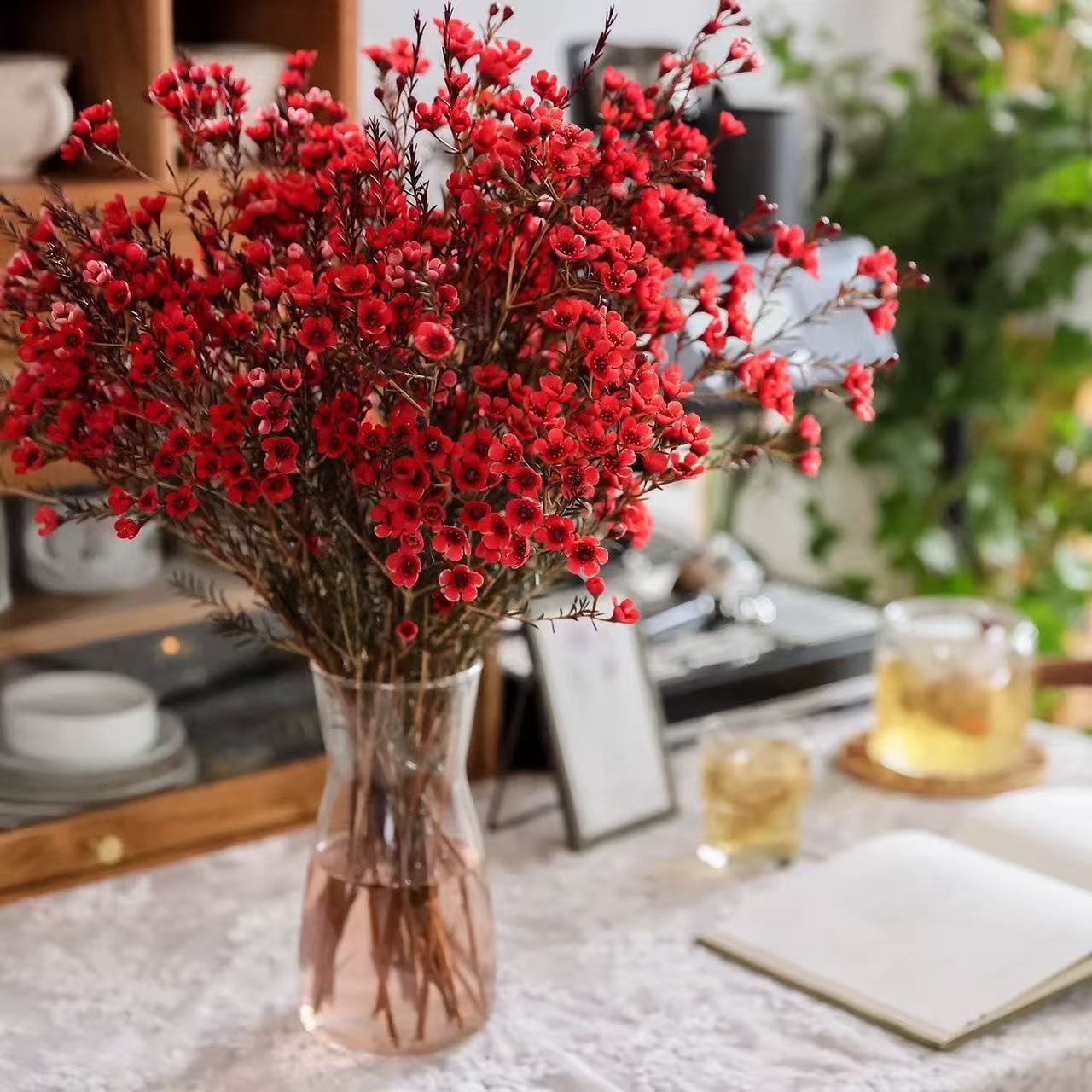 【年宵花】【澳洲腊梅】云南鲜切花基地直发 任意两件包邮送货上门