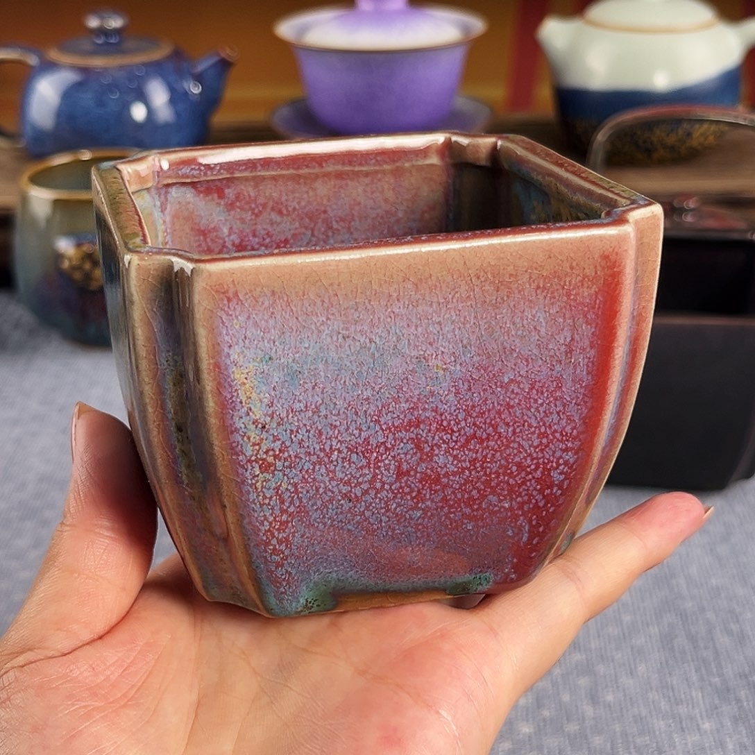 【闪购商品】杯10号，2569999999999999